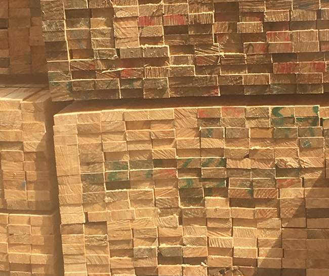 临邑新西兰进口松木